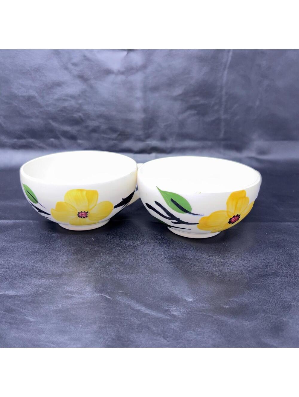 6 Blue Ridge Southern Pottery Dogwood Yellow Flowers Cups & Saucer Plates - Picture 7 of 10